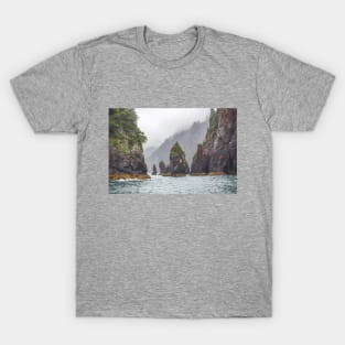 Alaska. Kenai Fjords National Park. Rocks. T-Shirt